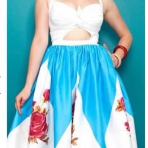 Pinup Girl Couture Classic Swing Dress Blue and White with Rose Border XL NWOT